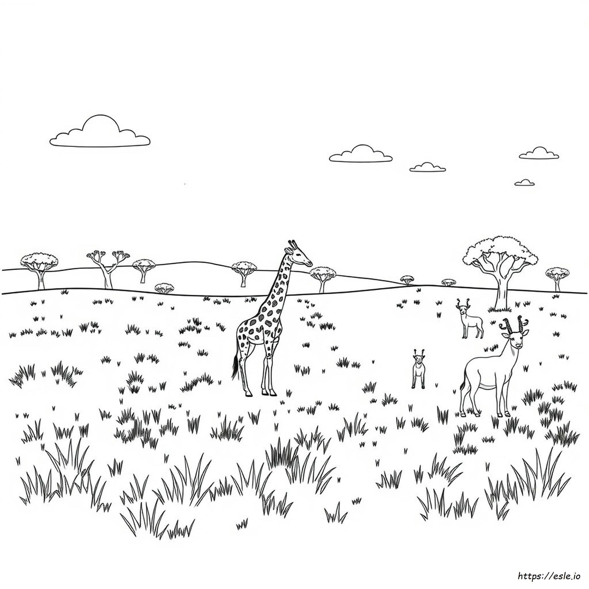 Grassland Animals Coloring Pages