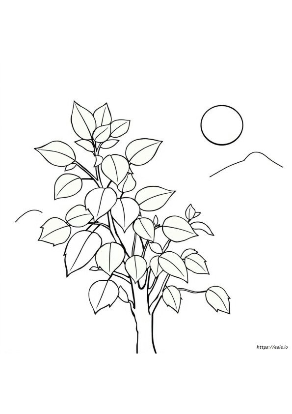 Coloriage Vert