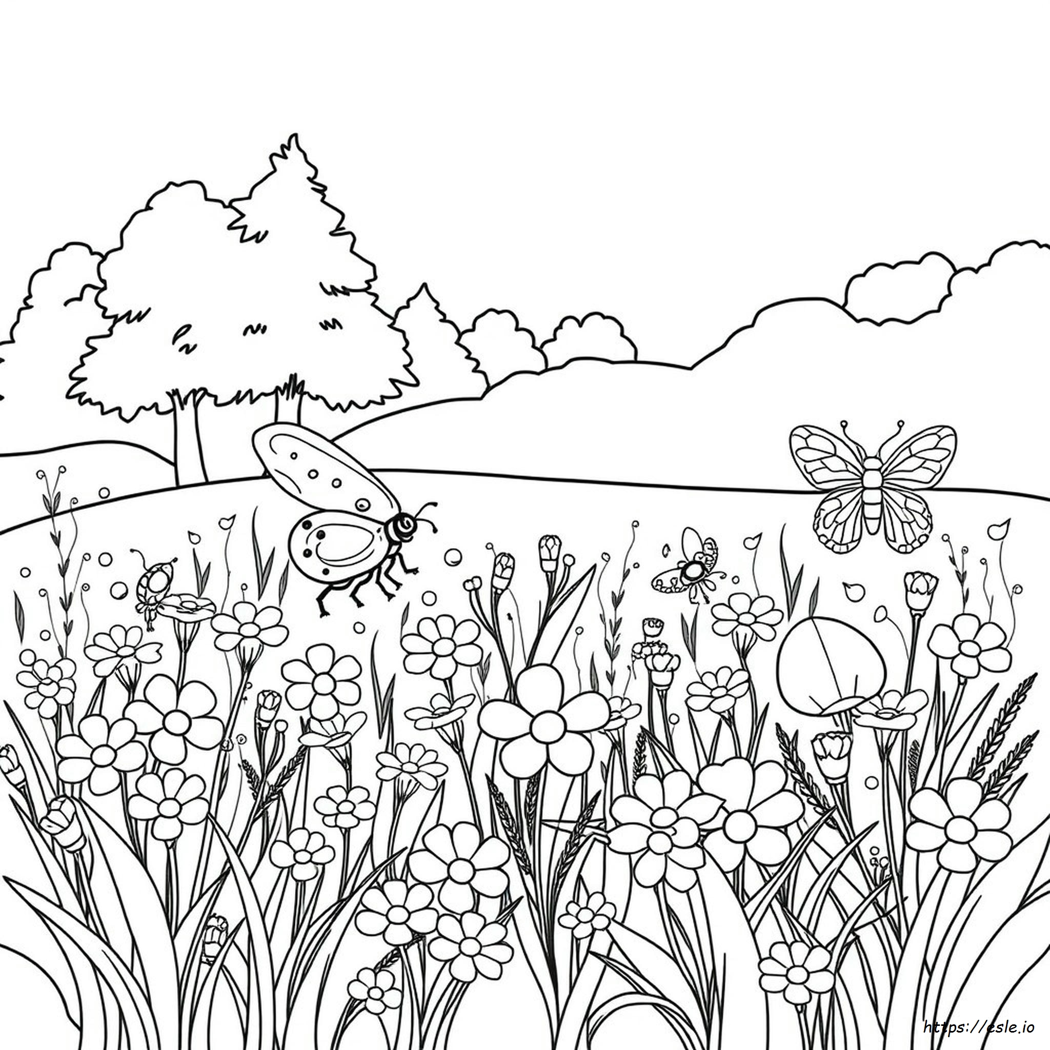 Disegni Da Colorare Di Insetti E Insetti
