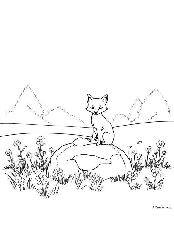 Raposa Para Colorir