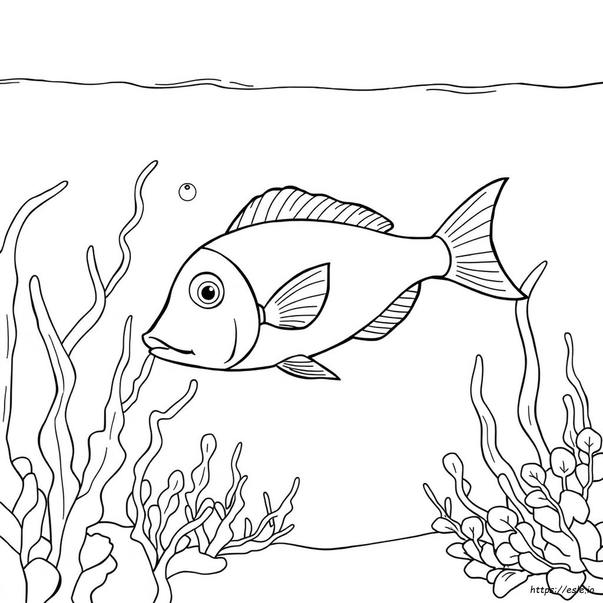 Immagine Di Pesce Da Colorare