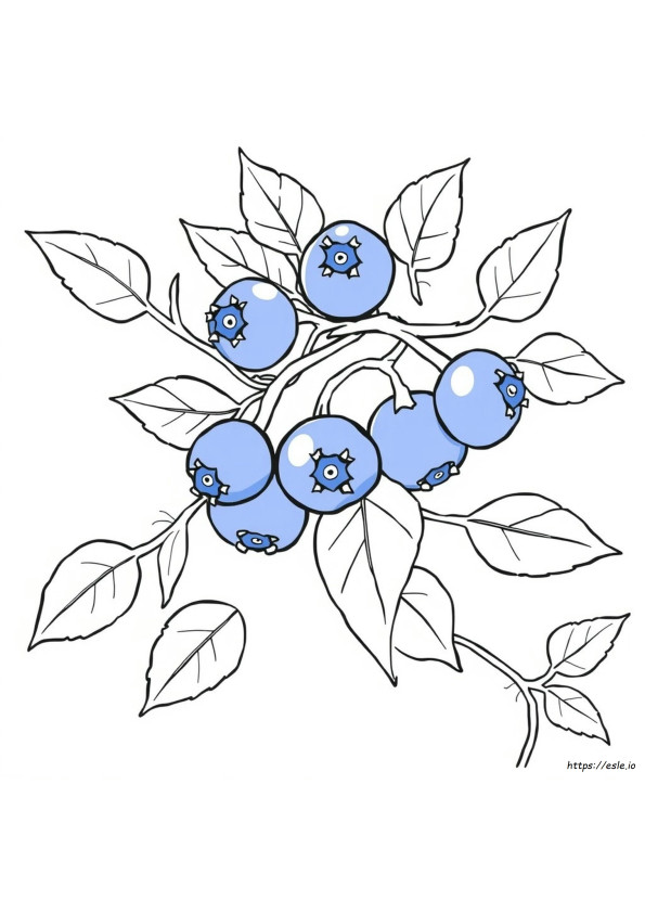Mewarnai Blueberry