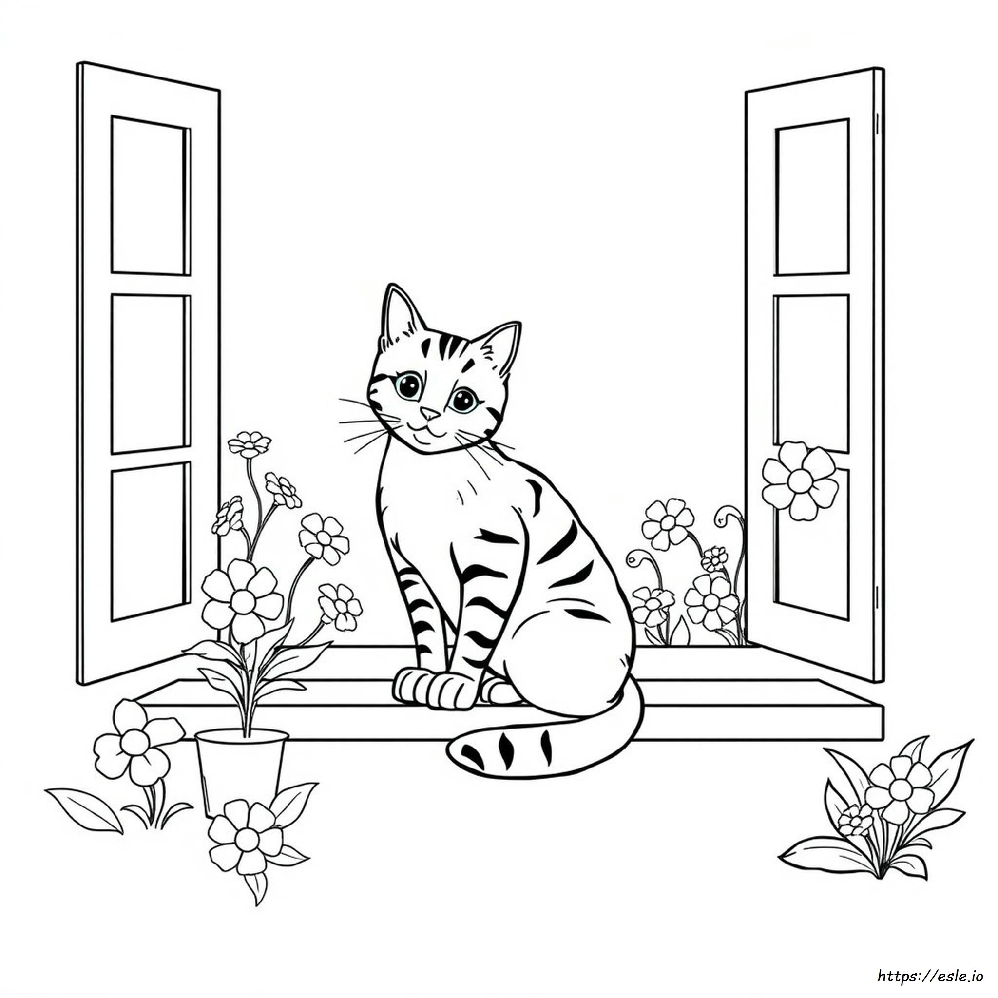 Gatto Soriano Da Colorare