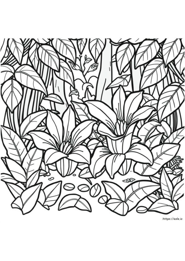 Bunga Rafflesia Gambar Mewarnai