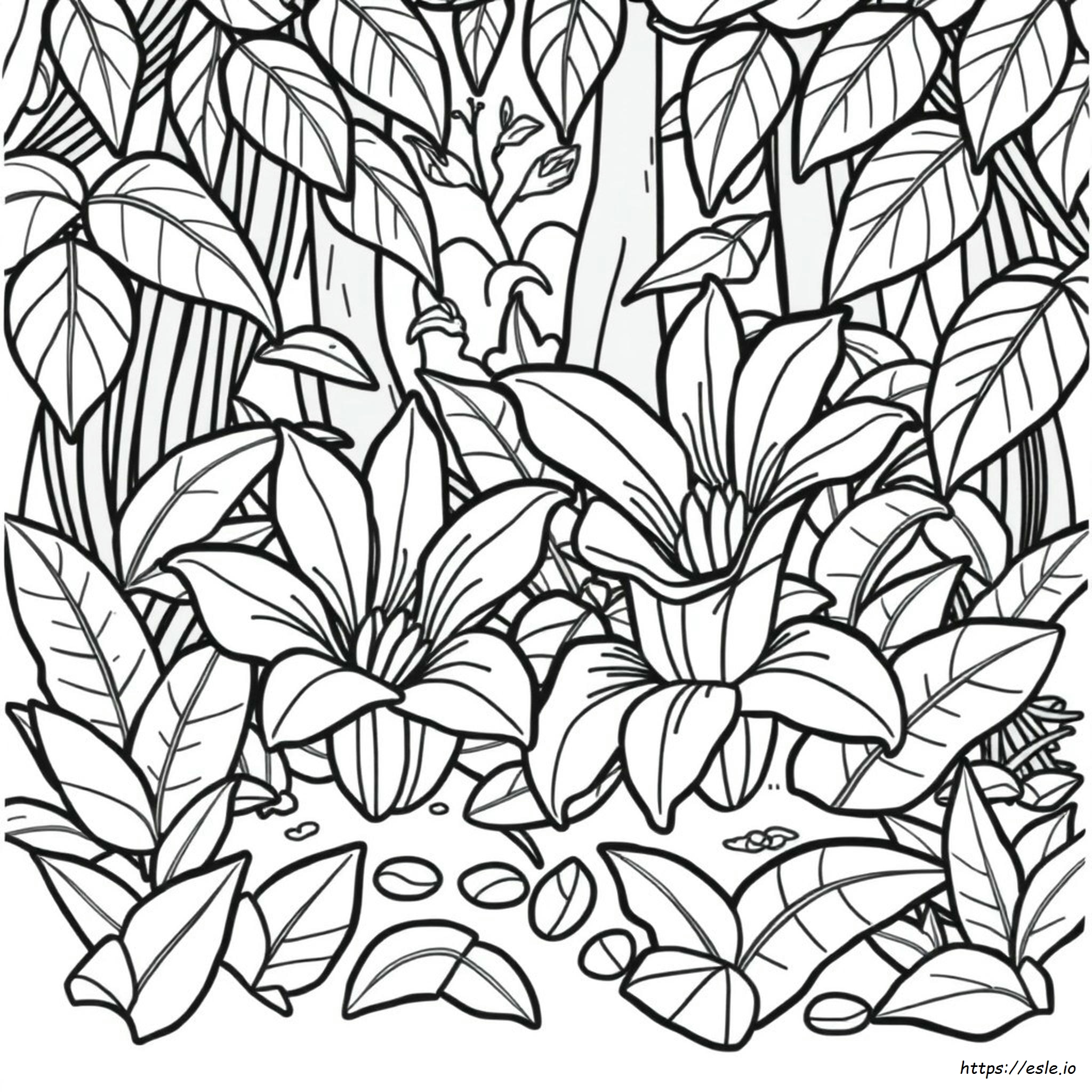 Flor De Rafflesia Para Colorear
