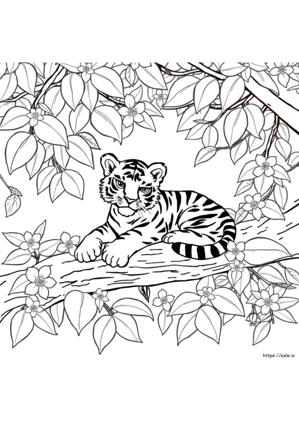 Cuccioli Di Tigre Da Colorare