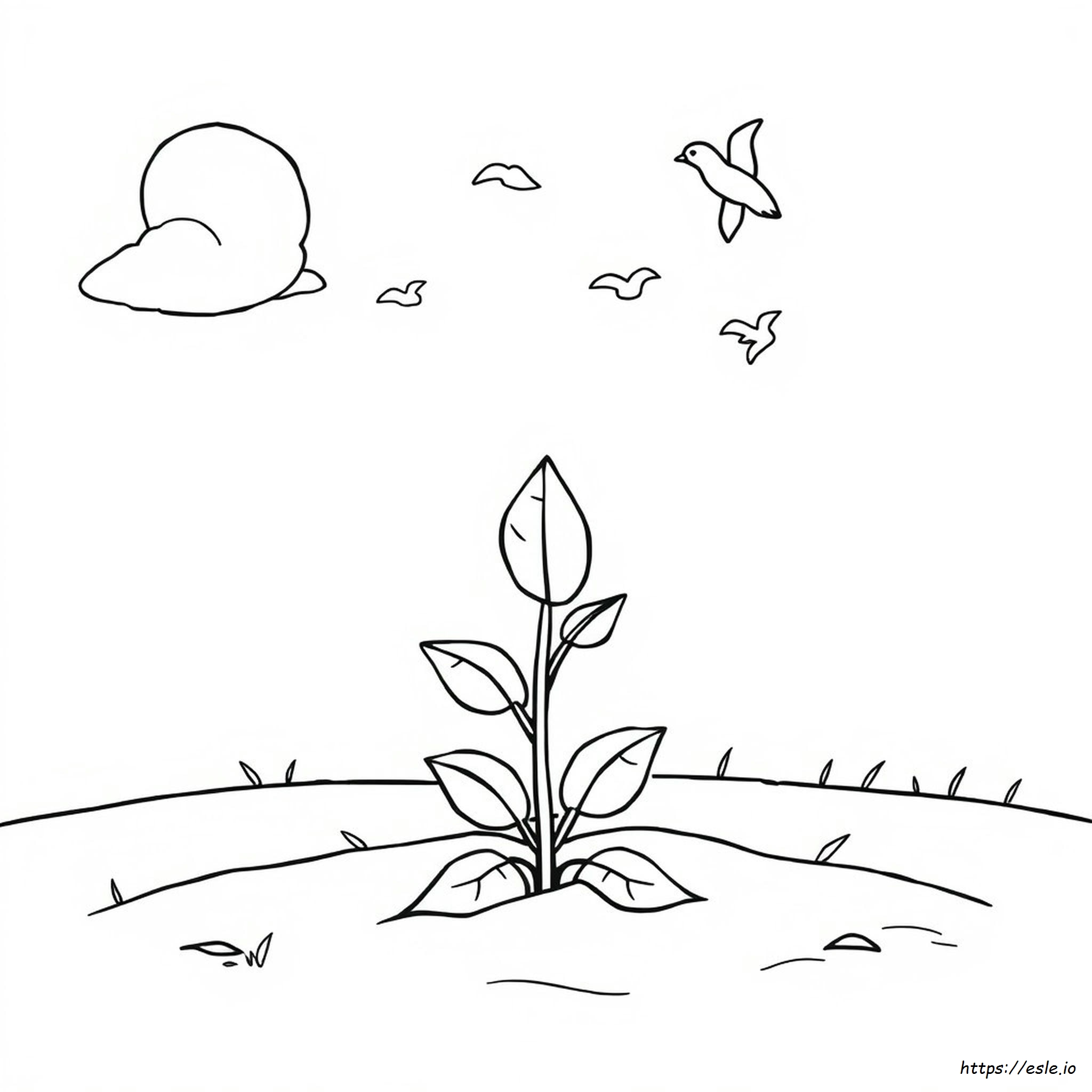 Sprout Online Coloring Pages