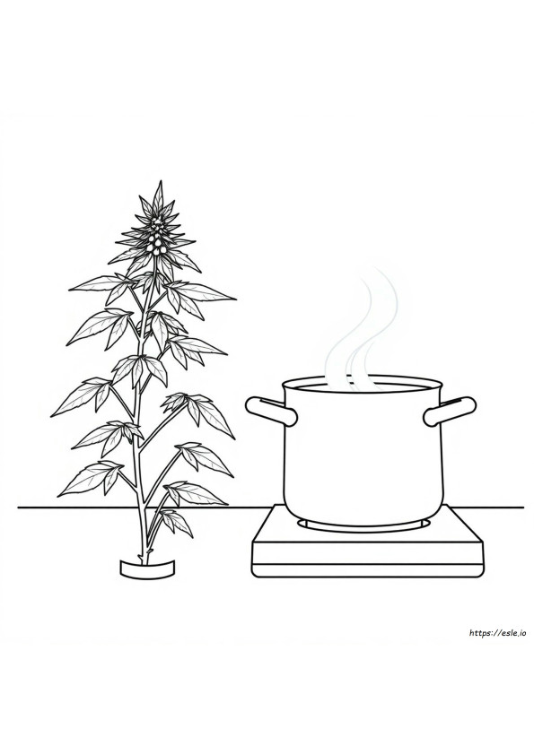 Gambar Mewarnai Ganja