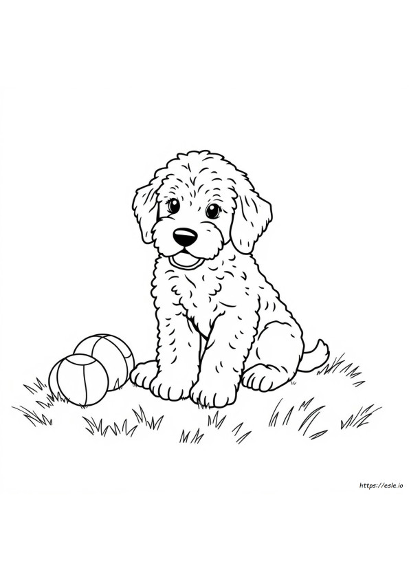 Golden Doodle Anak Anjing Halaman Mewarnai