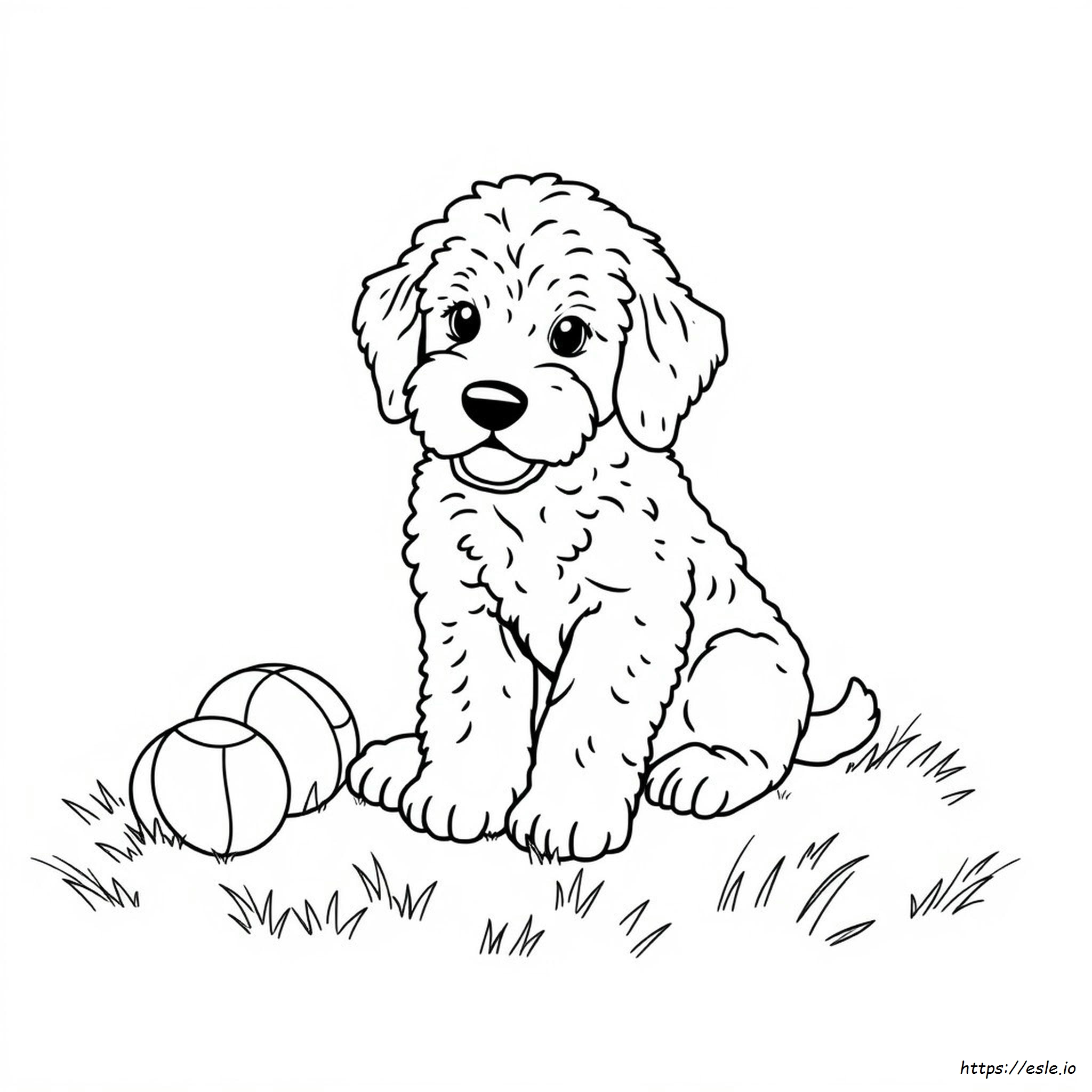 Cachorro Golden Doodle Para Colorear