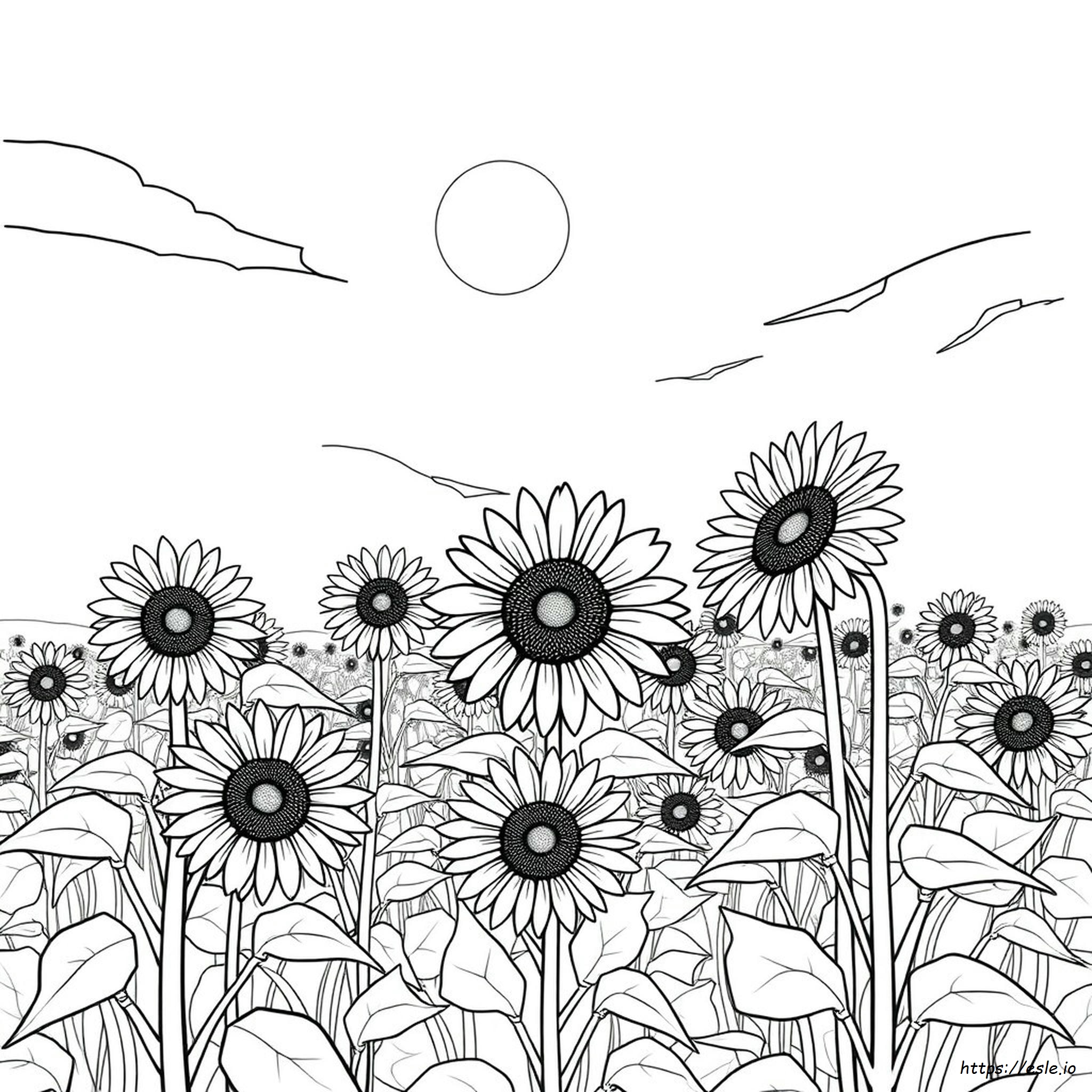 Sonnenblumen Ausmalbilder Für Erwachsene Zum Ausdrucken