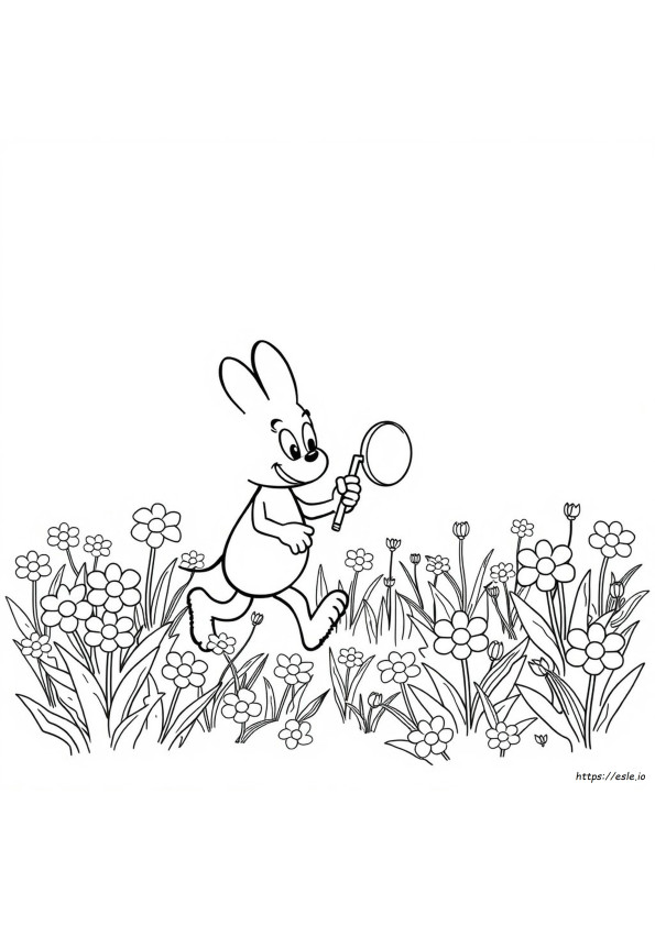 Pascal Gambar Mewarnai