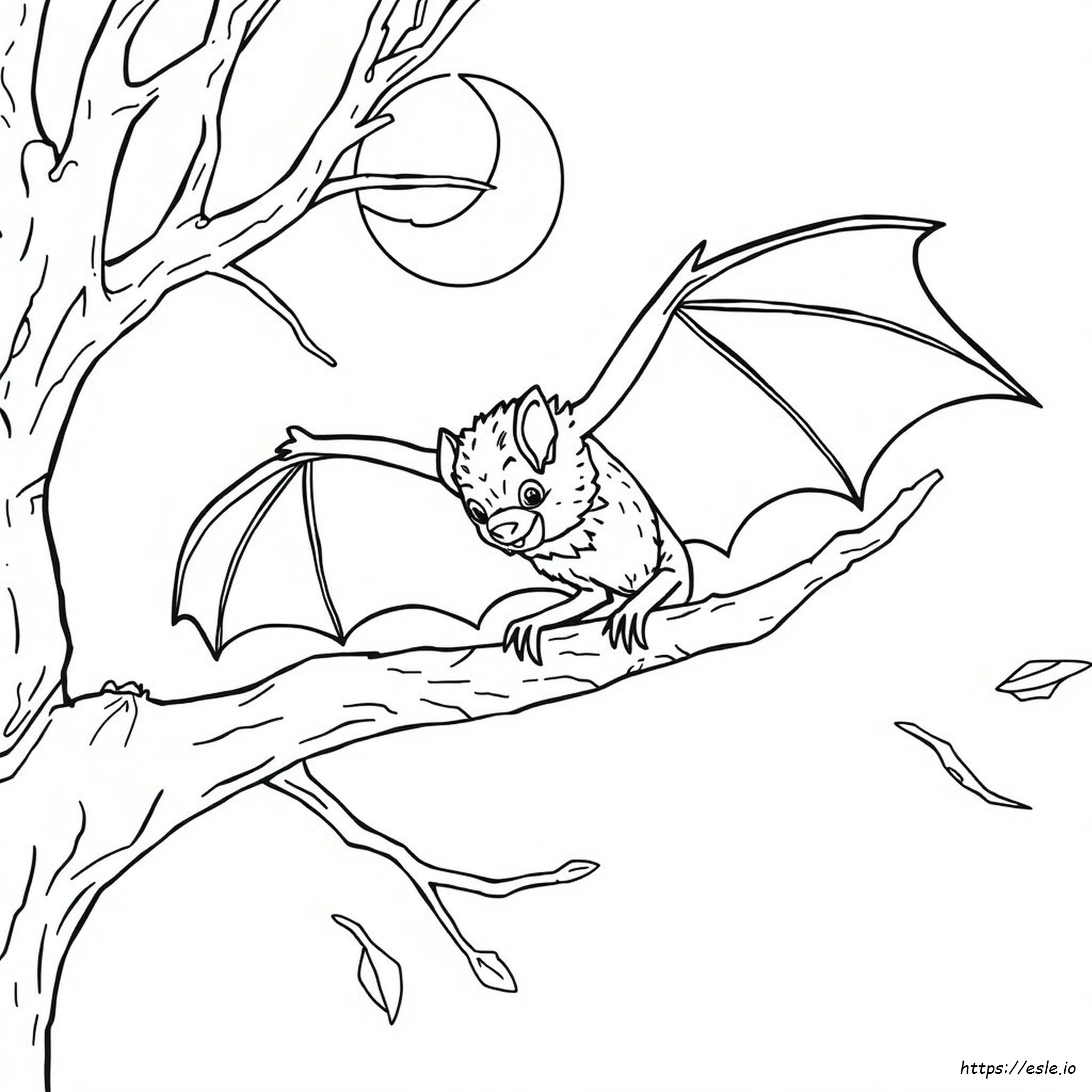 Detailed Bat Coloring Pages