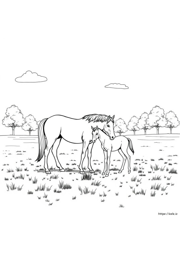 Coloring Pages Of Real Horses