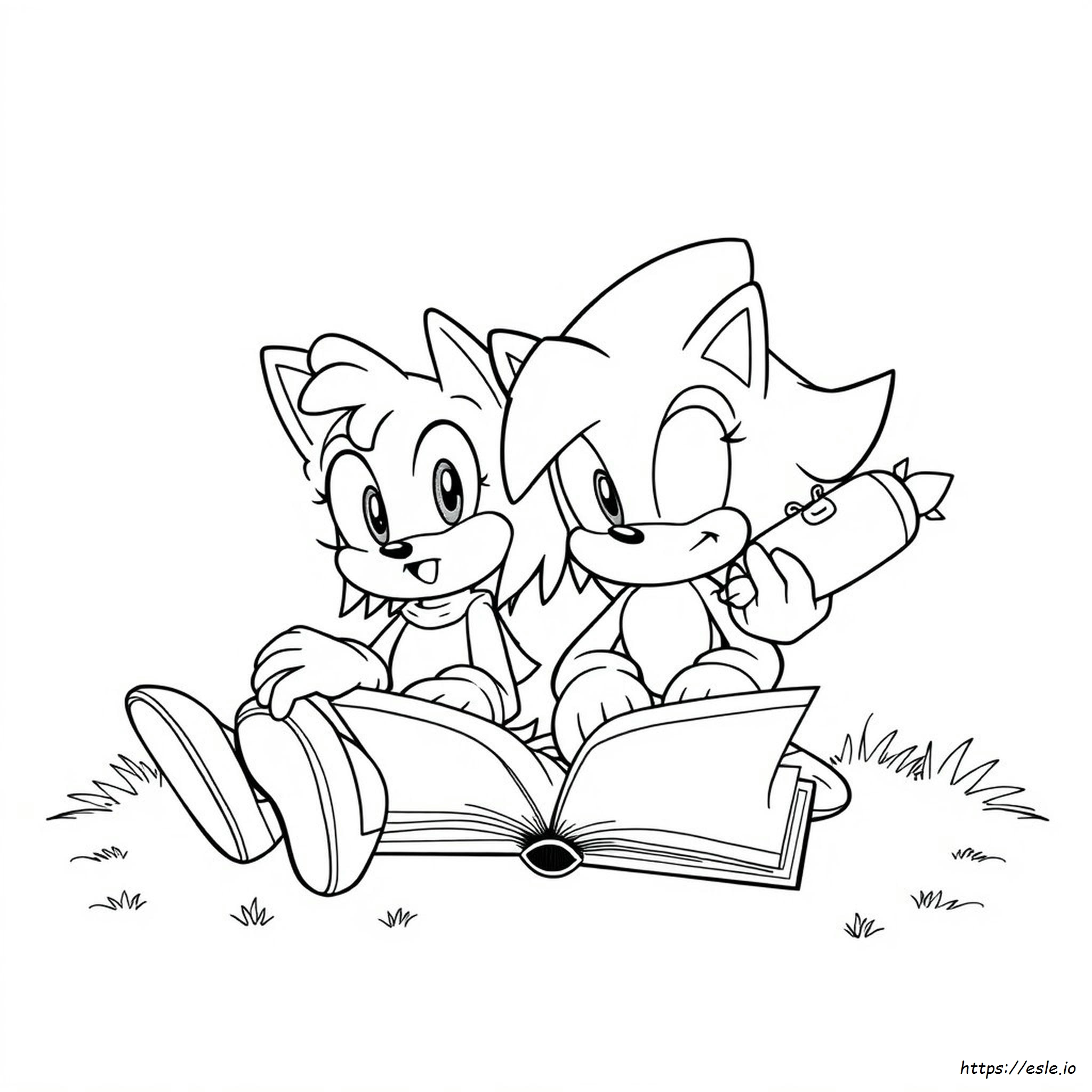 Dibujos Para Colorear De Sonic Y Sally