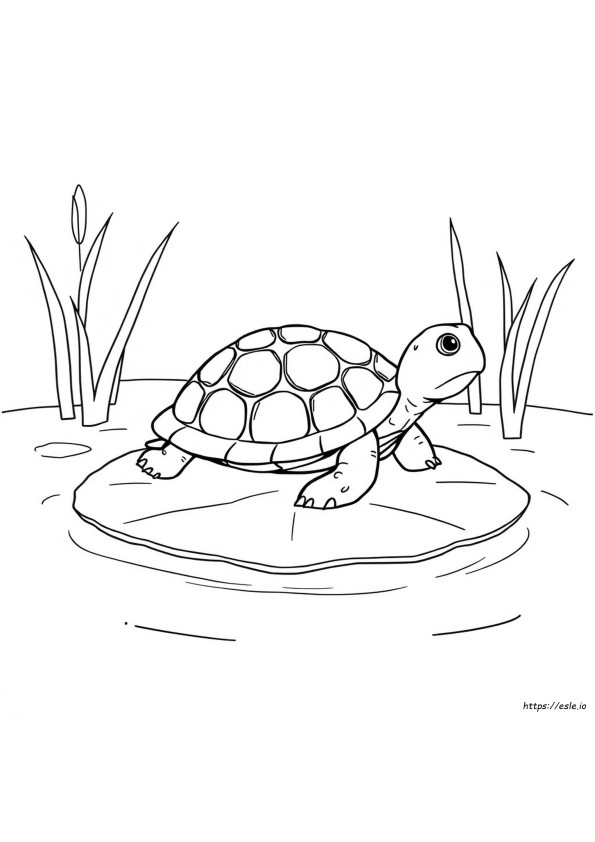Desenhos De Tartaruga Para Colorir