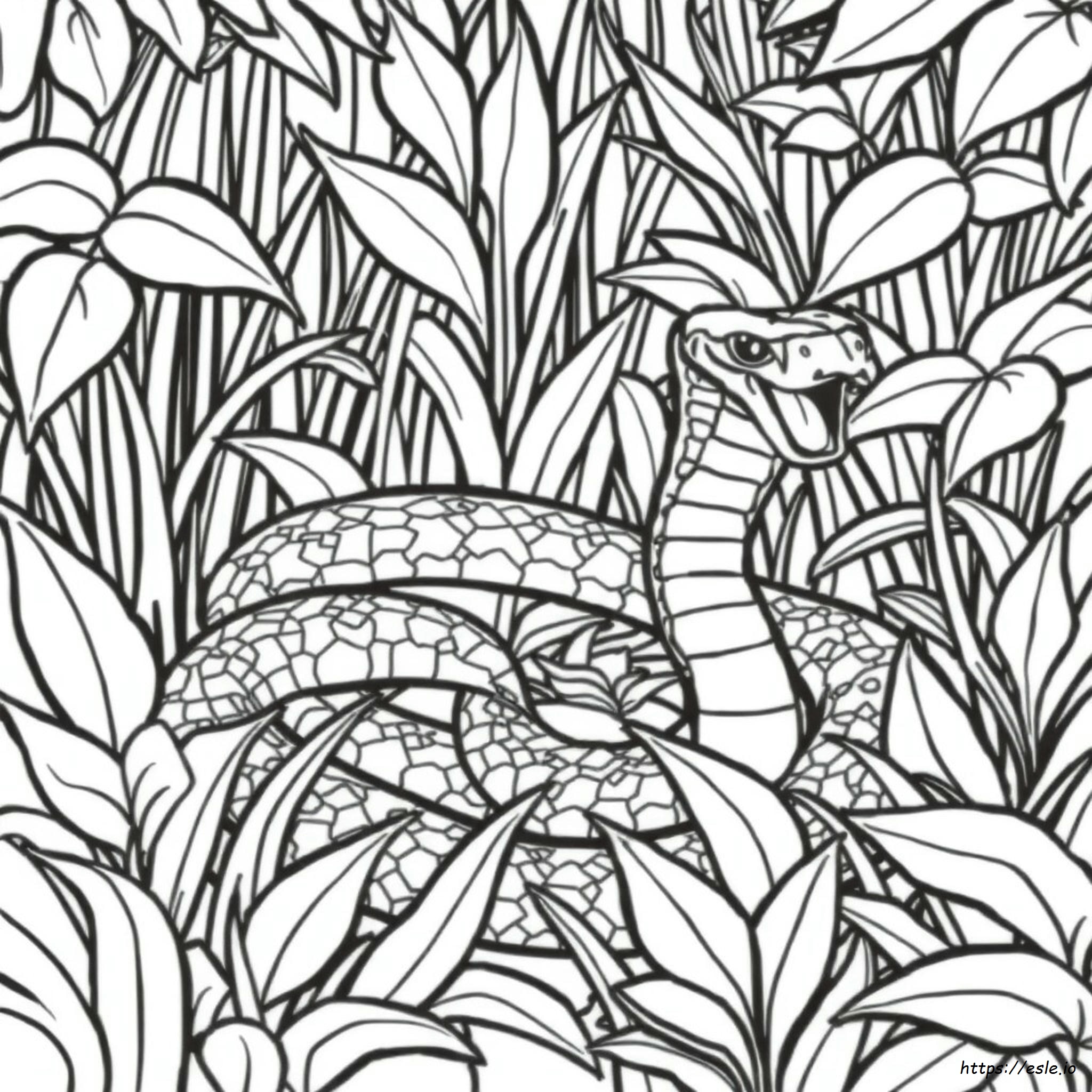 Disegno Realistico Di Cobra Reale Da Colorare - Immagini Da Colorare Per Bambini