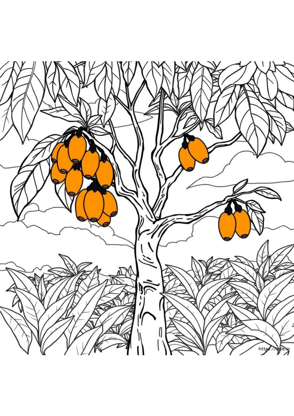 Gambar Mewarnai Asem