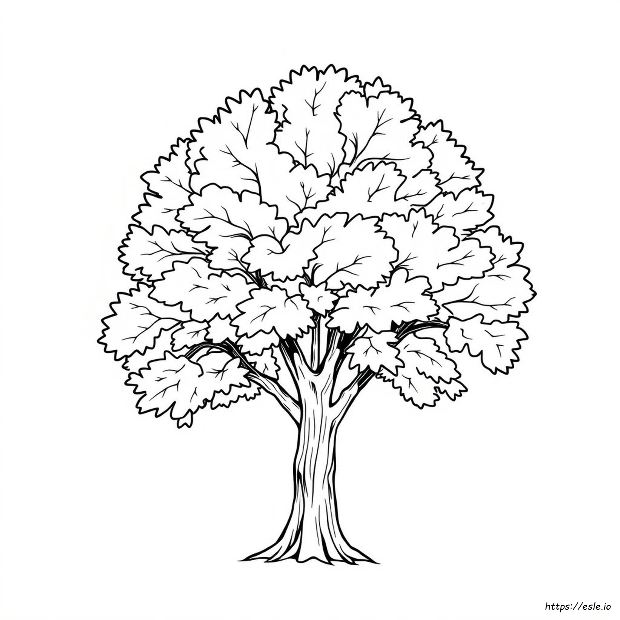 Coloring Picture Of Leaf