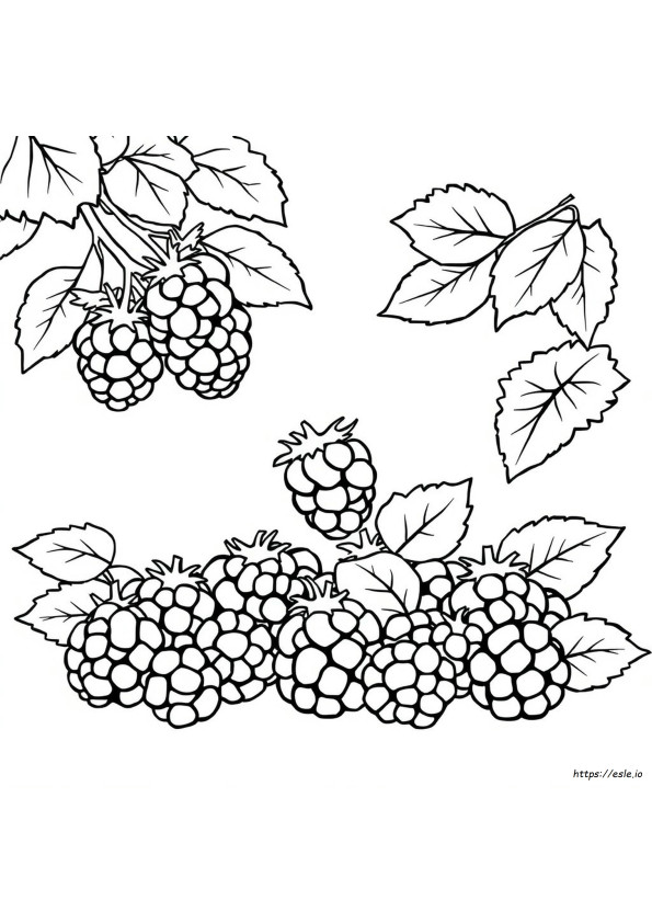 Ko D Kode Warna Blackberry