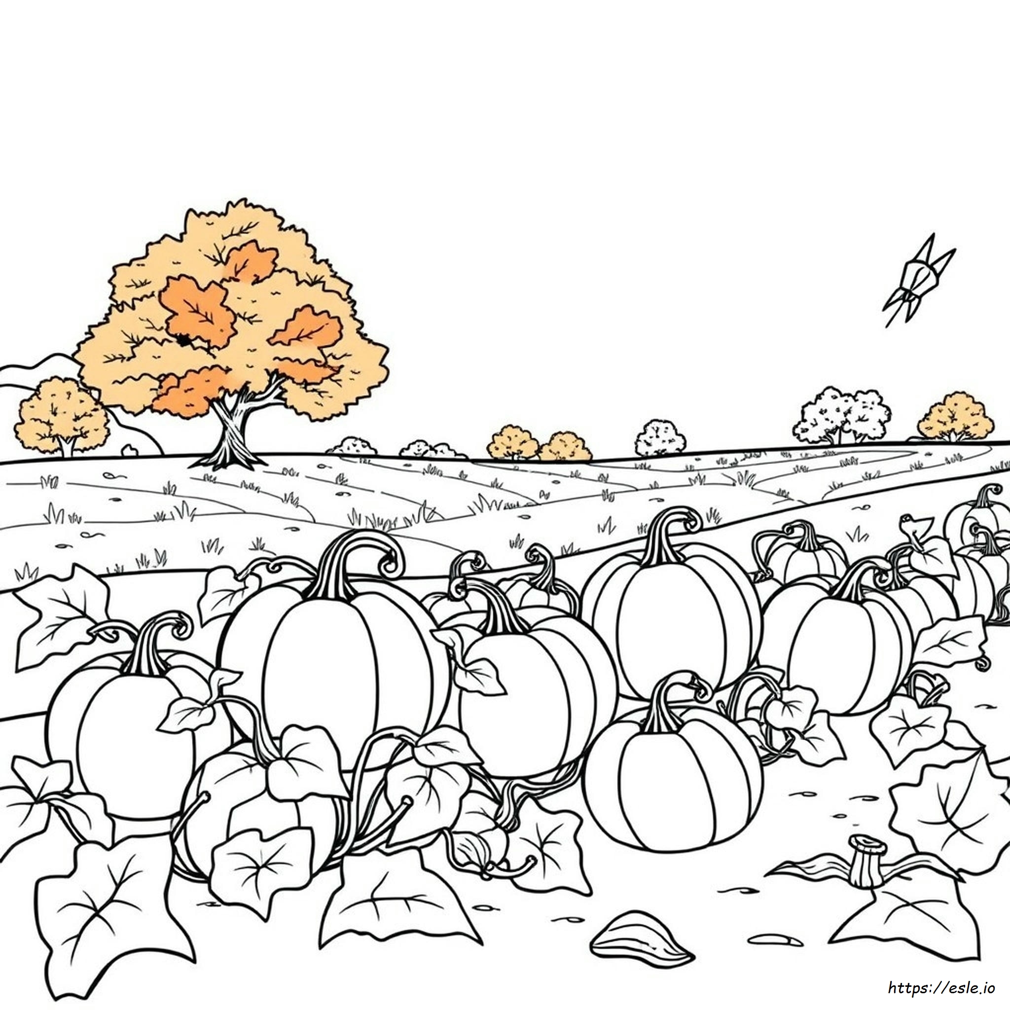 Fall Farm Coloring Pages