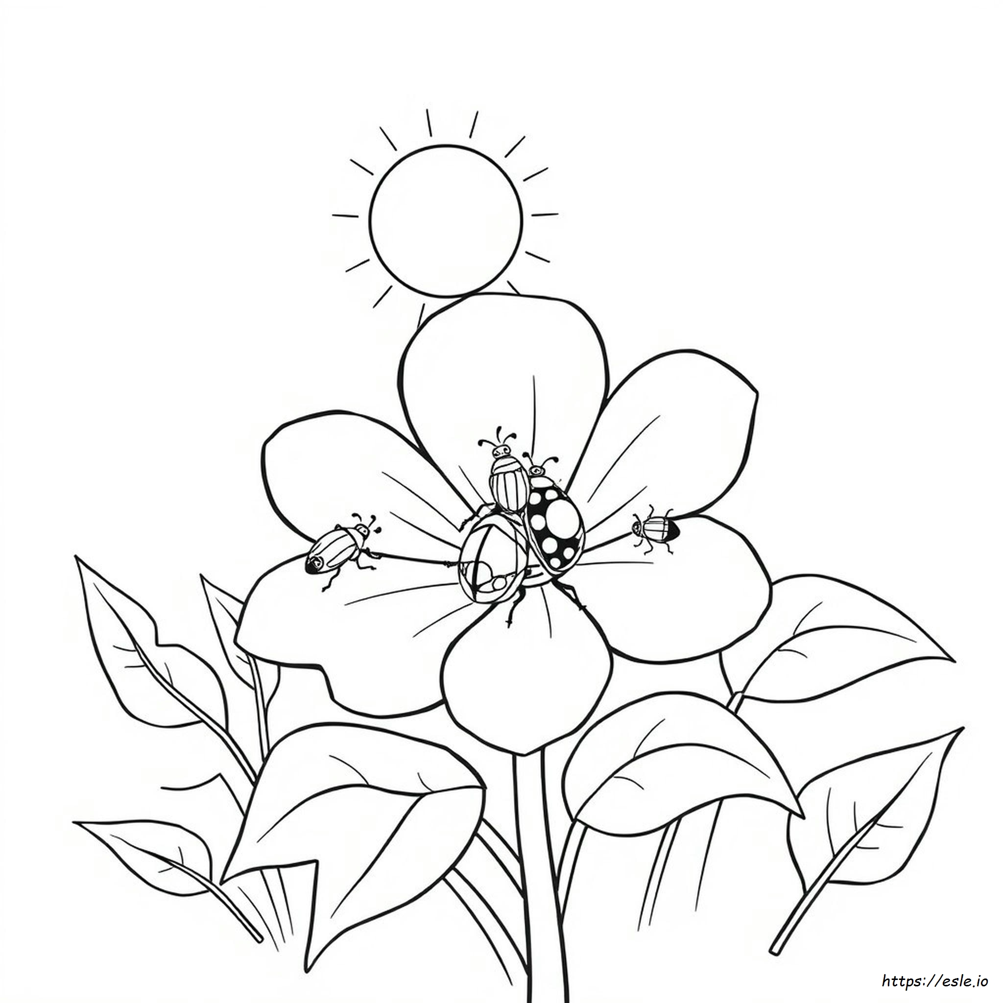 Disegni Da Colorare Stampabili Di Insetti