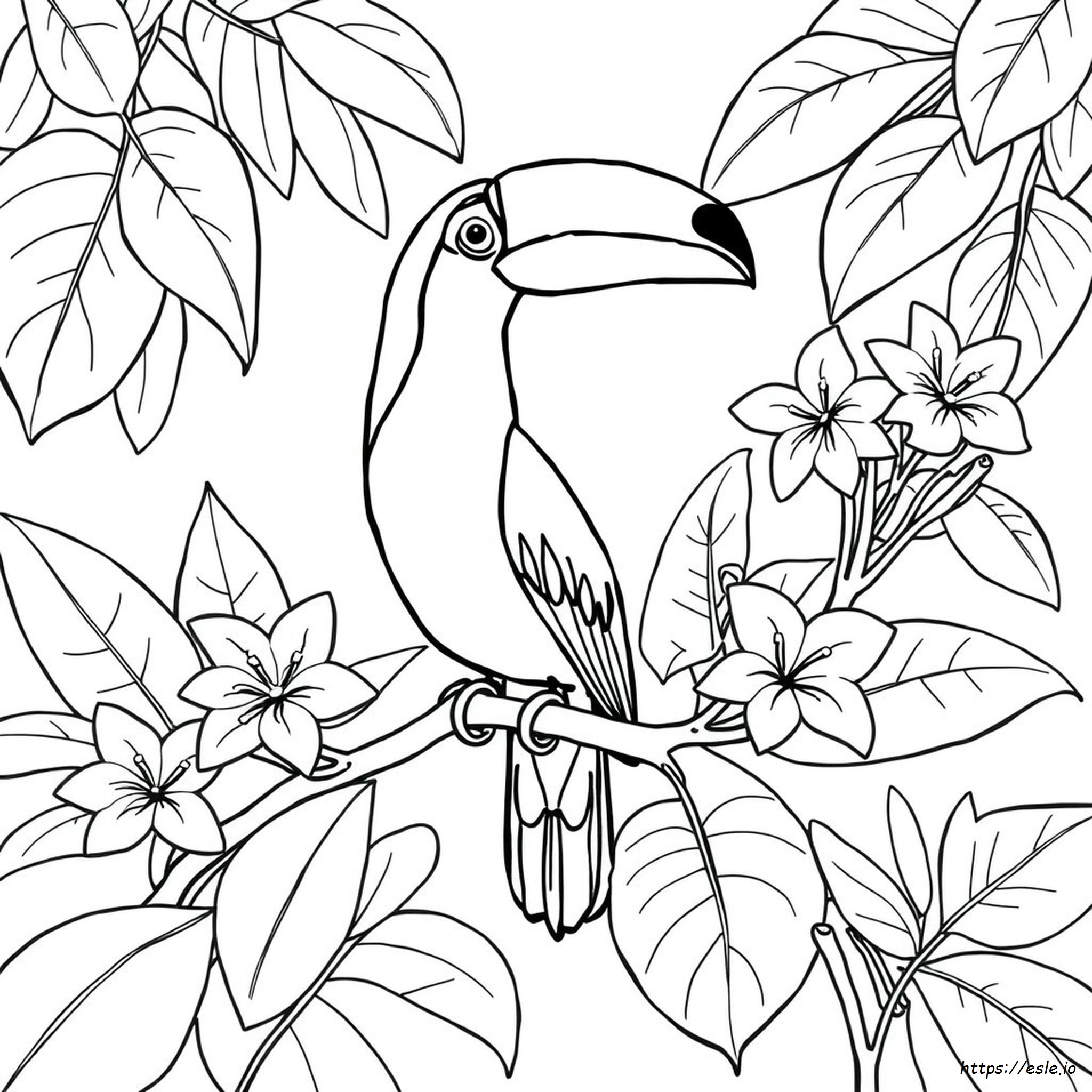 Tucan Coloring Pages
