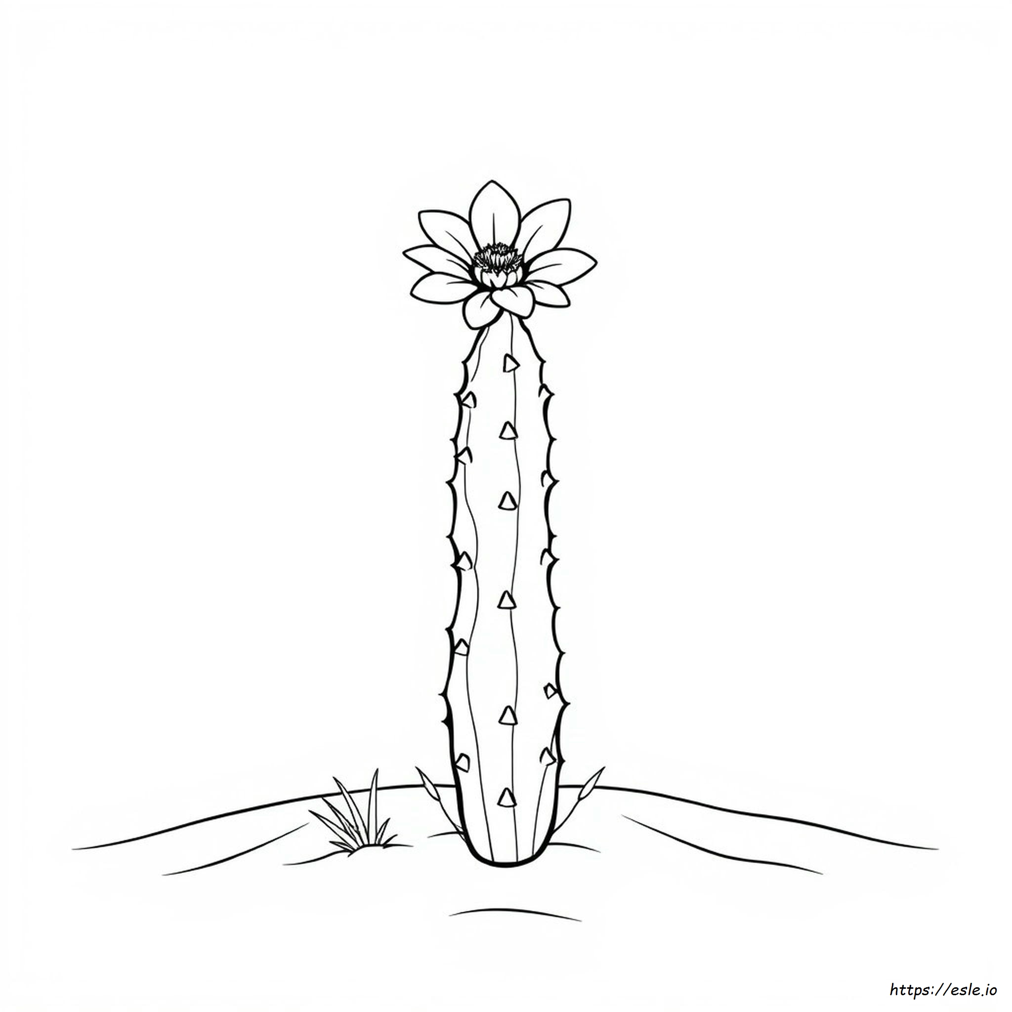 Cactus Flower Coloring Page