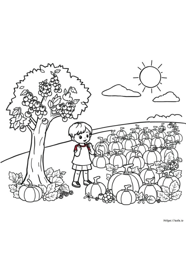 Desene De Colorat Cu Recolta Pentru Preșcolari