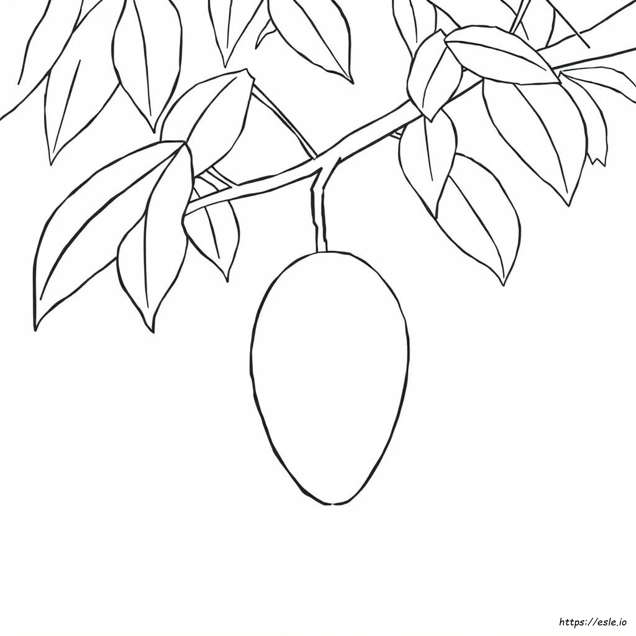 Dibujo De Mango Para Colorear