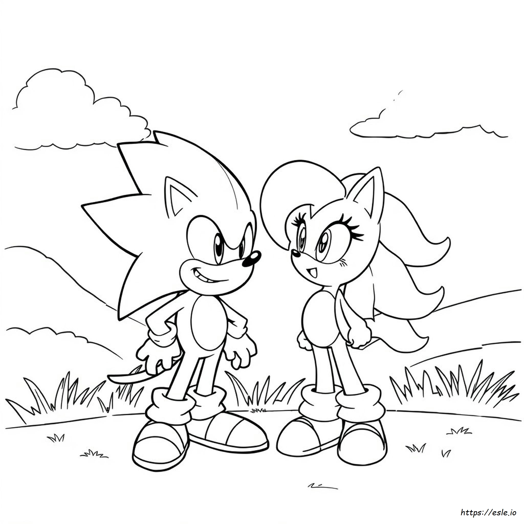 Immagini Da Colorare Di Sonic Amy