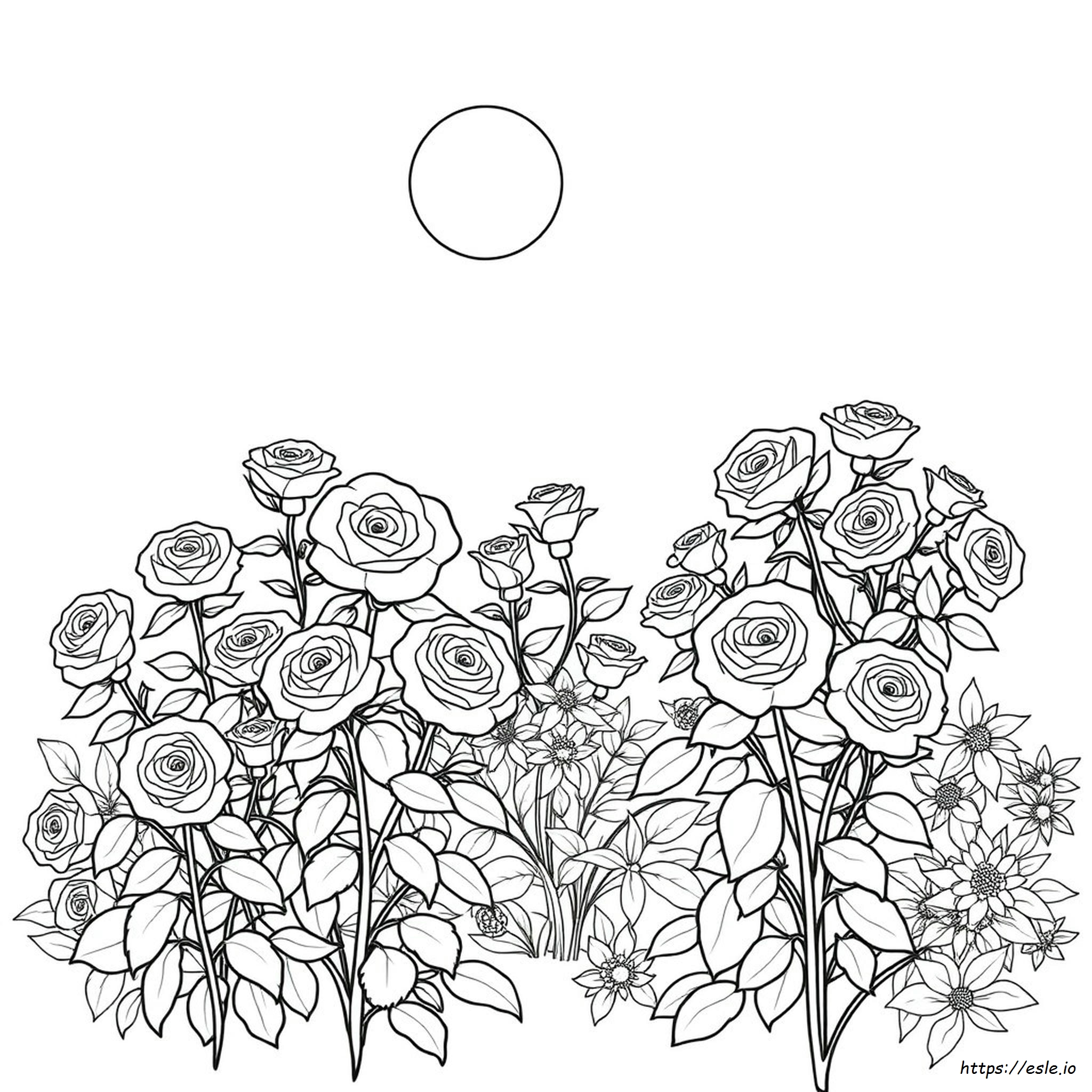 Jardín De Rosas Para Colorear