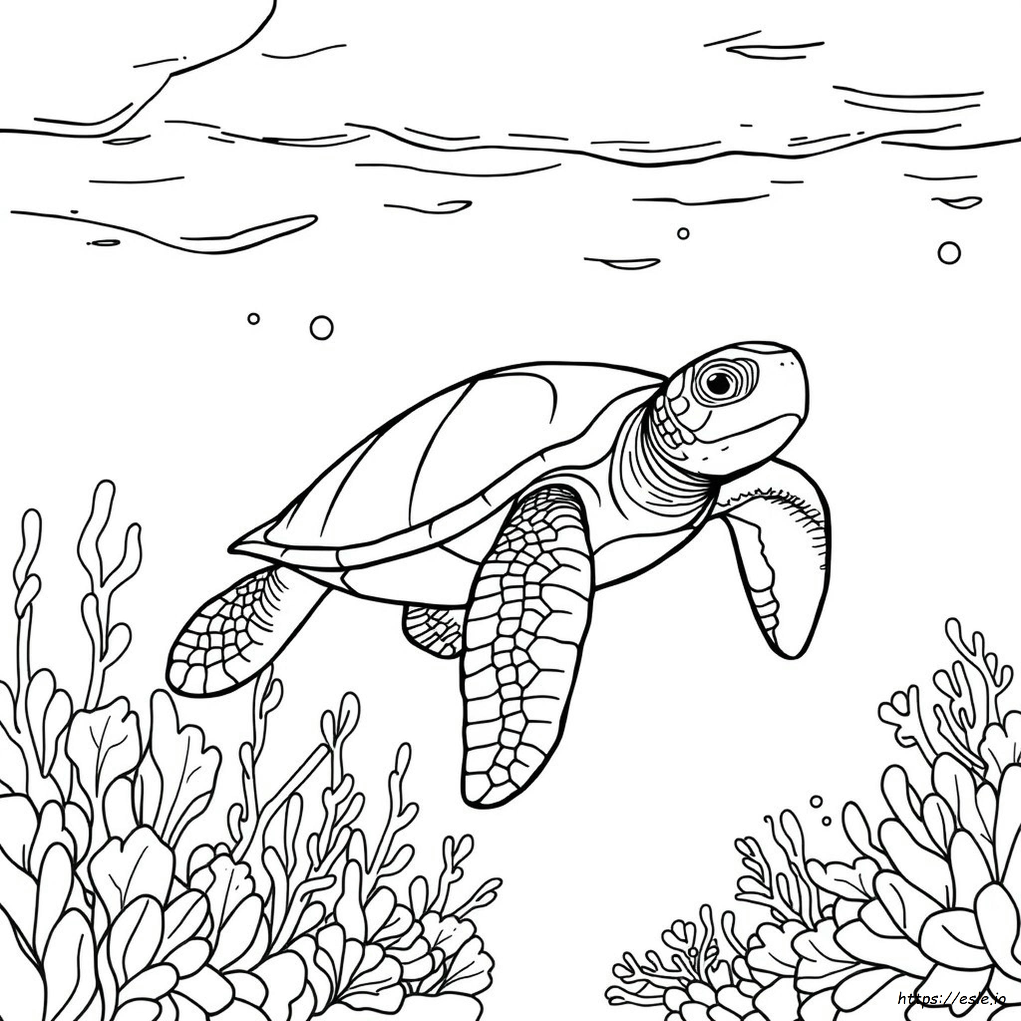 Realistic Printable Sea Turtle Coloring Page