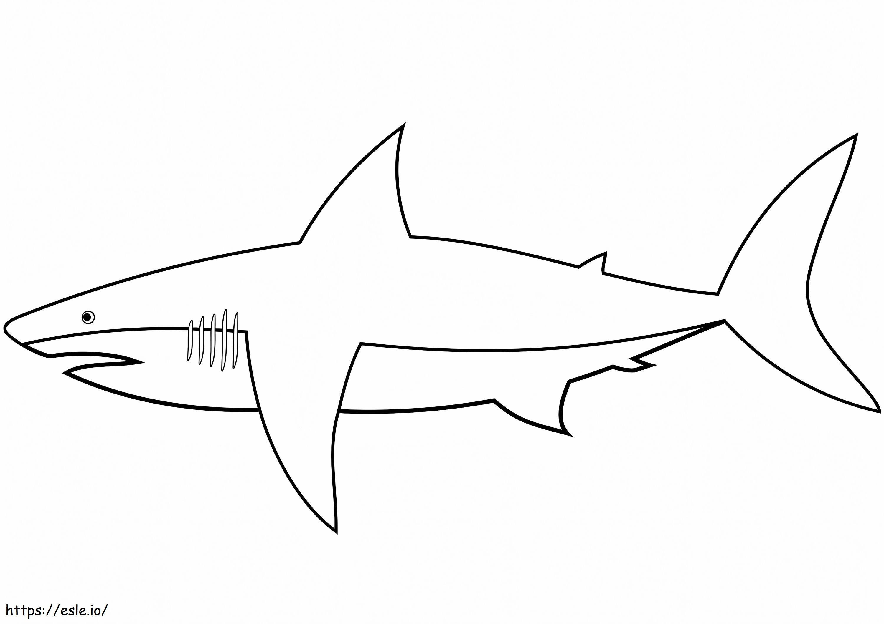 Normale haai kleurplaat kleurplaat
