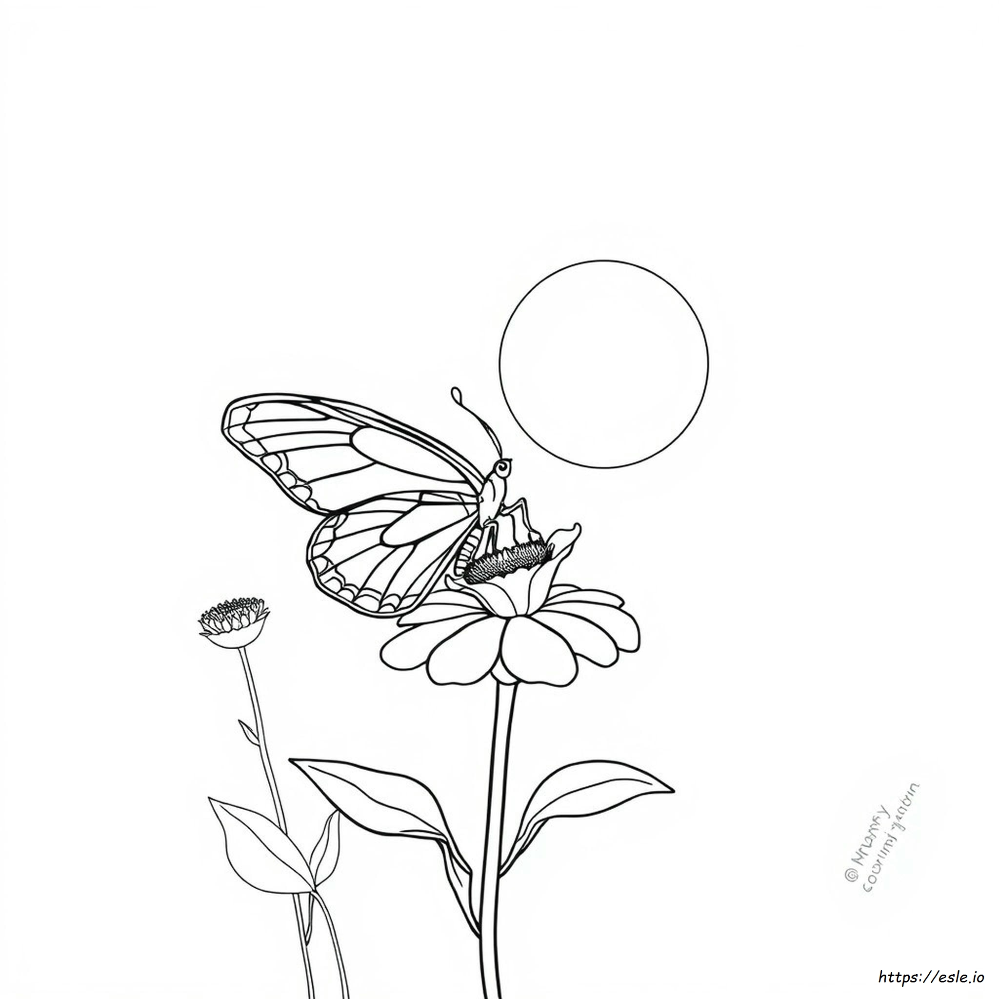 Trasforma Immagine In Disegno Da Colorare