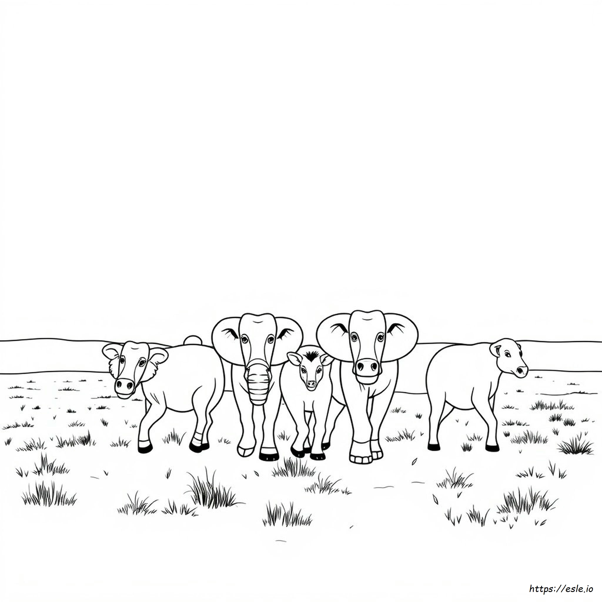 Safari Animals Coloring Pages