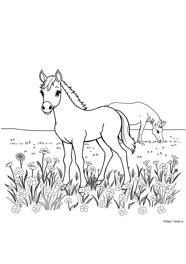 Foal Coloring
