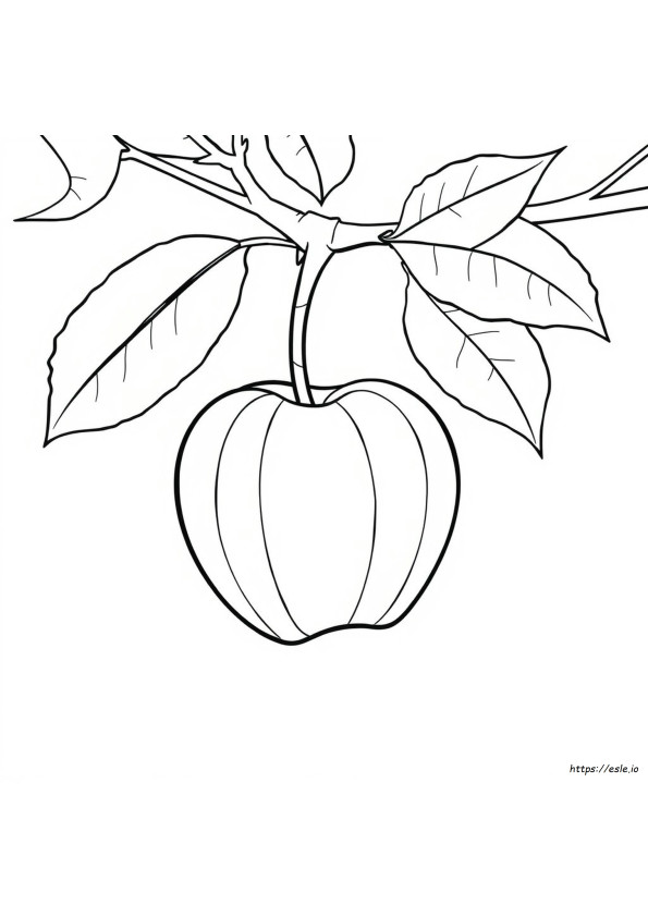 Apple Fruit Coloring Page