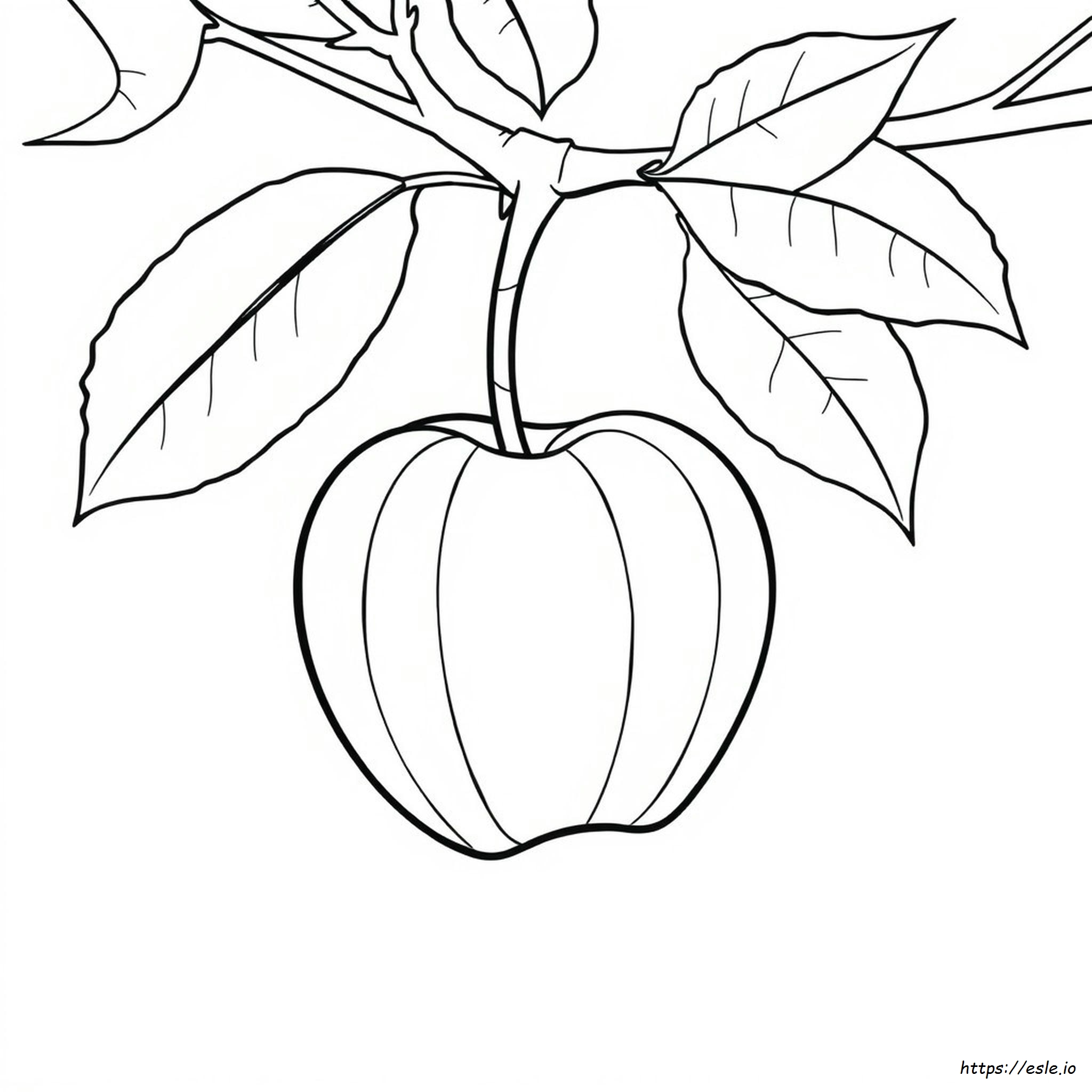 Pagina Da Colorare Mela Frutto