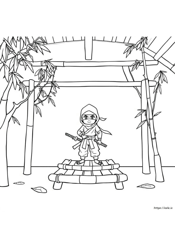 Buku Mewarnai Ninja