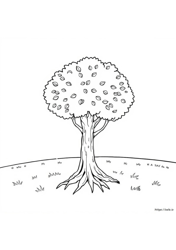 Coloriage D'arbre