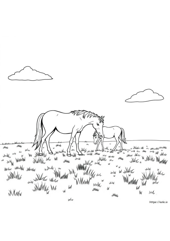 Free Adult Coloring Pages Horses