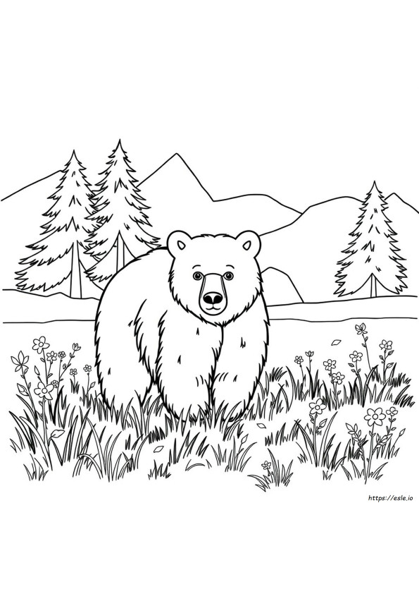 Beruang Grizzly Gambar Mewarnai