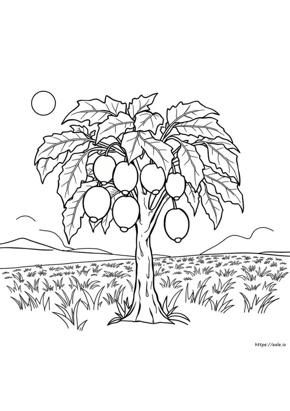 Pohon Pepaya Gambar Mewarnai