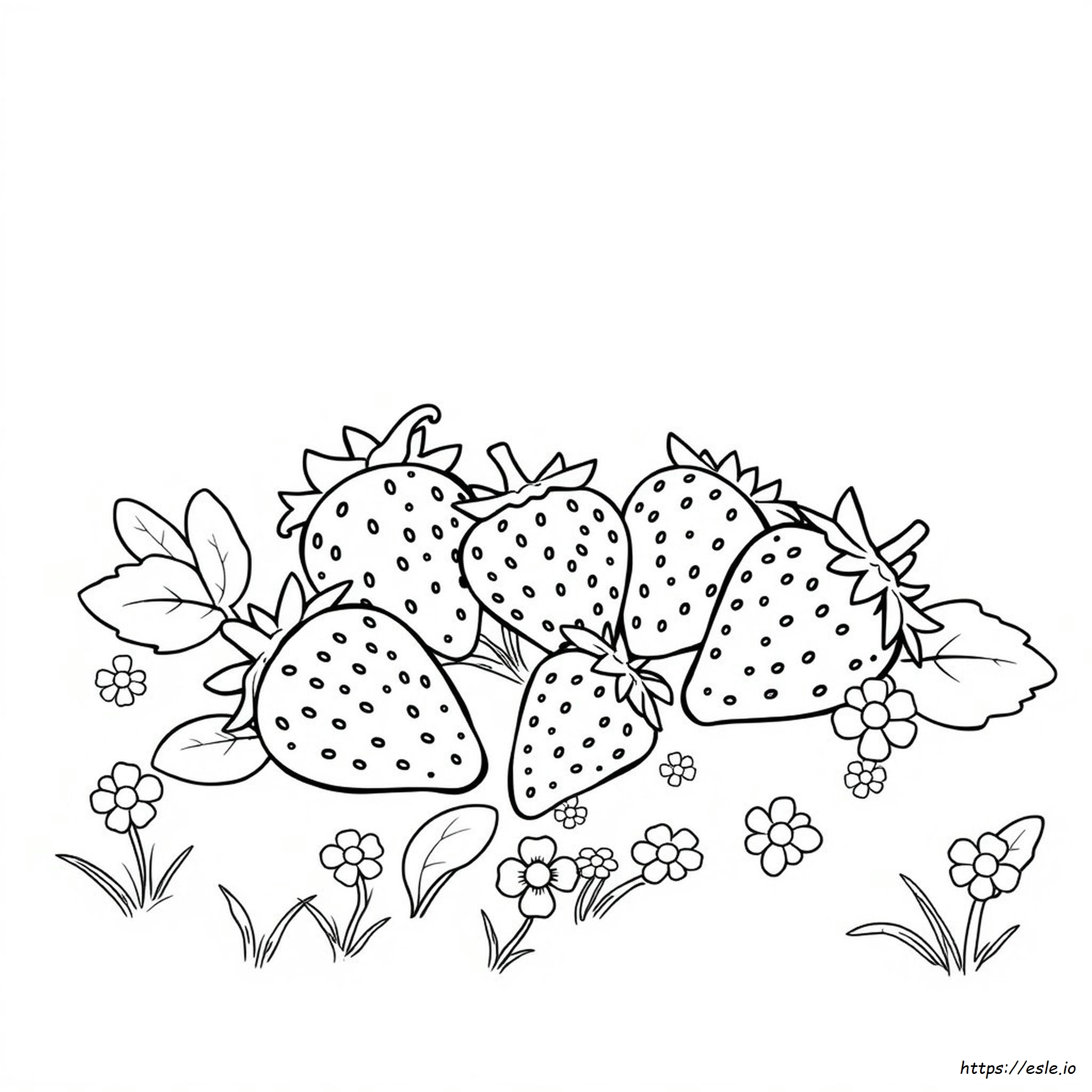 Colouring Picture Of Strawberry