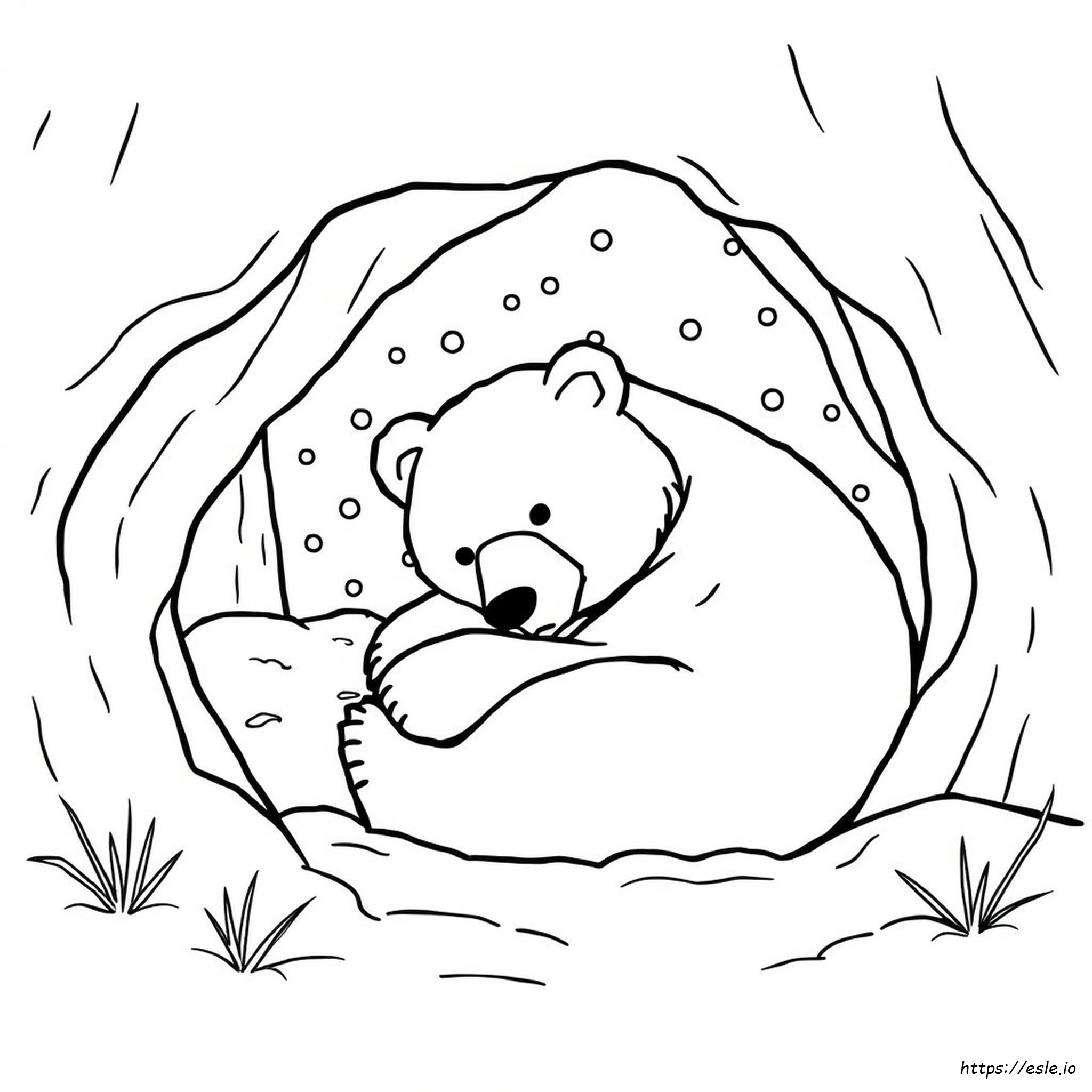 Disegni Da Colorare Su Ibernazione