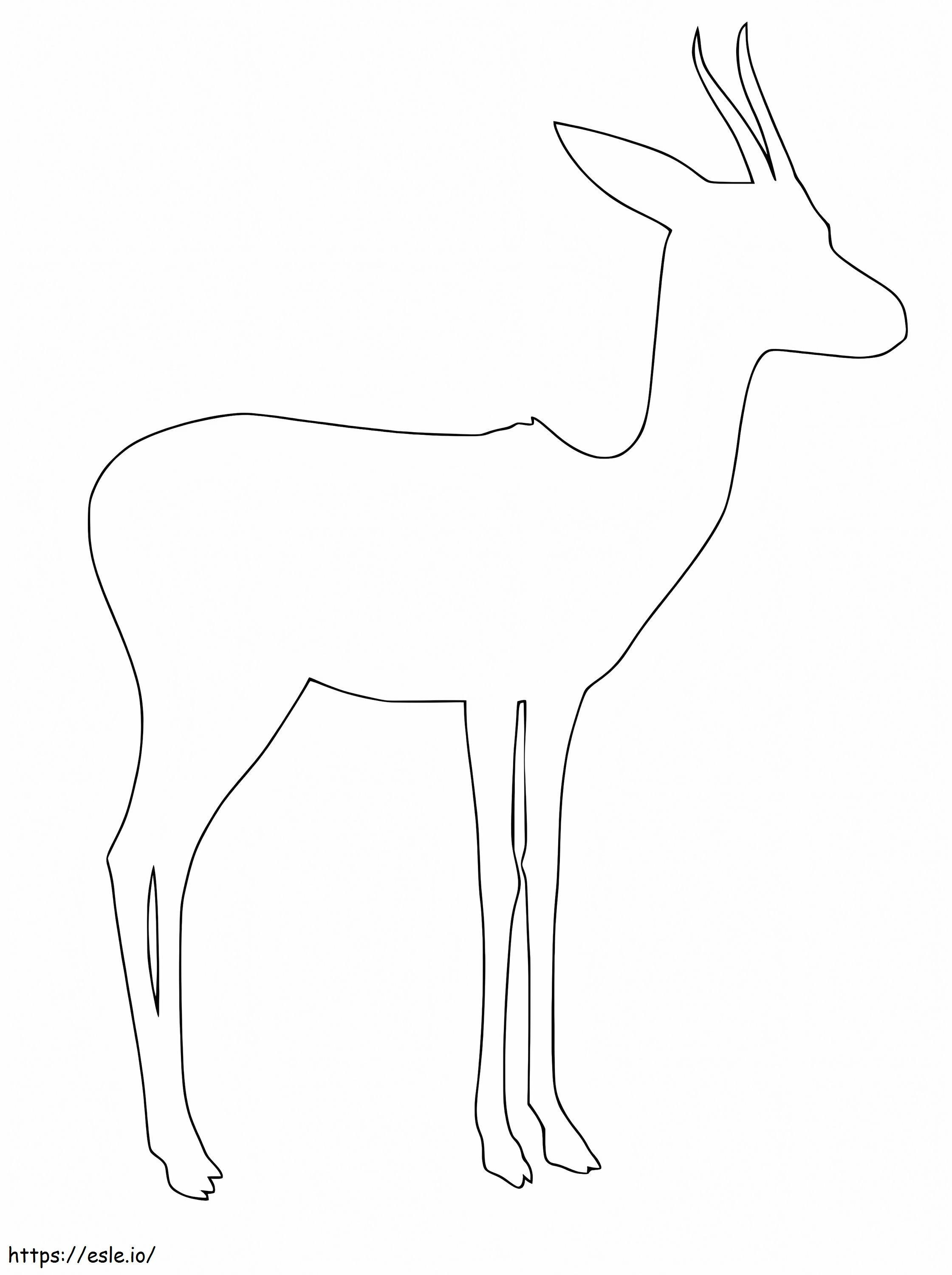 Profilo della gazzella da colorare