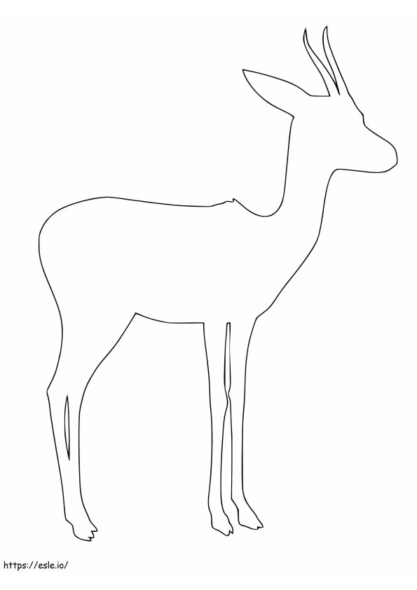 Gazellin ääriviivat värityskuva