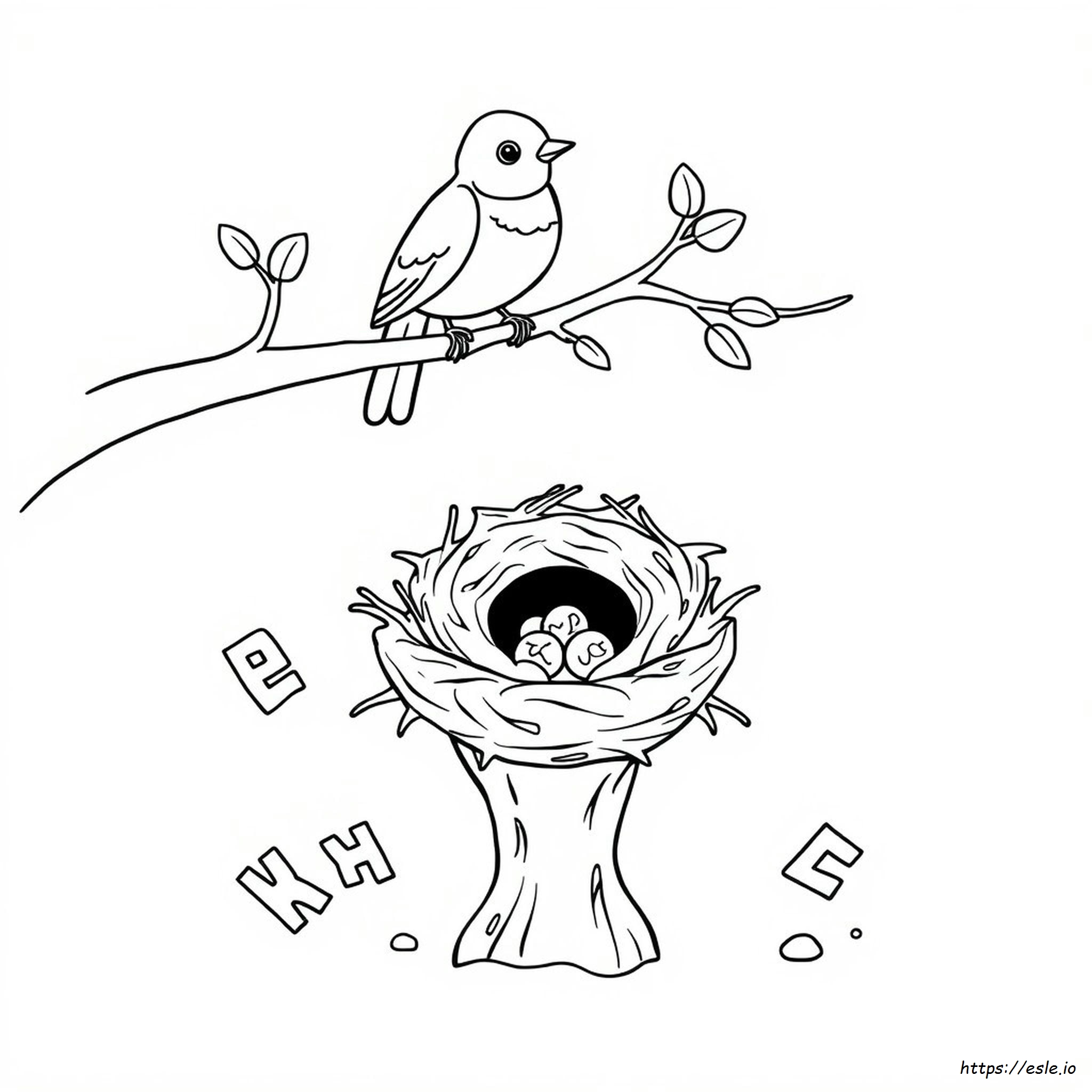Preschool Bird Nest Coloring Page