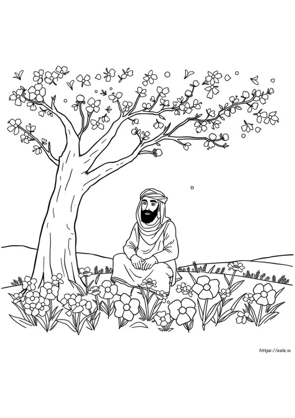 Gambar Mewarnai Omar Hana